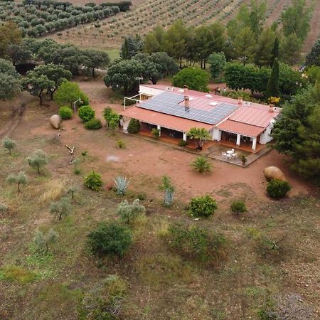 Agroturismo La Finka Los Quiles Eksteriør bilde